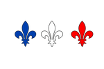 Make France Great Again - Accueil